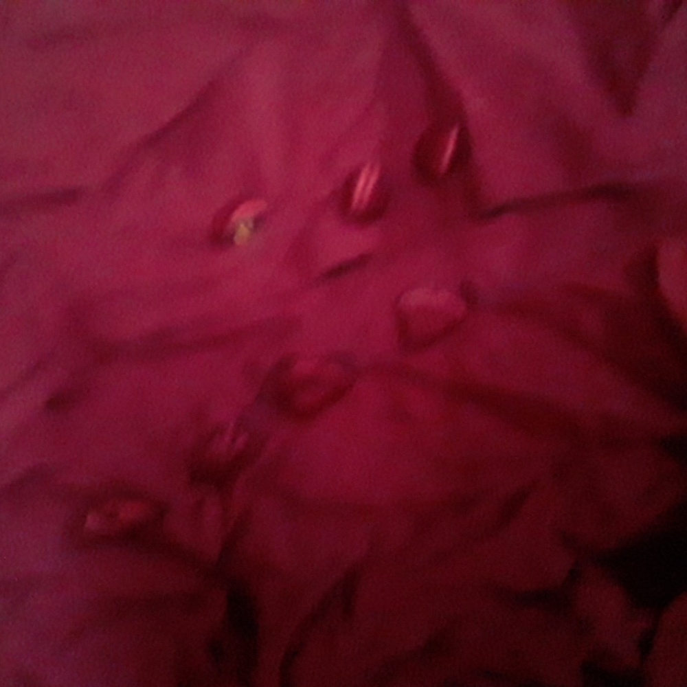 Gorgeous Set! - image 5